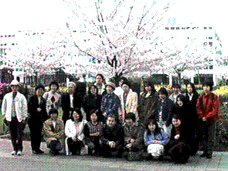 cherry blossoms at the Oregon State Capitol